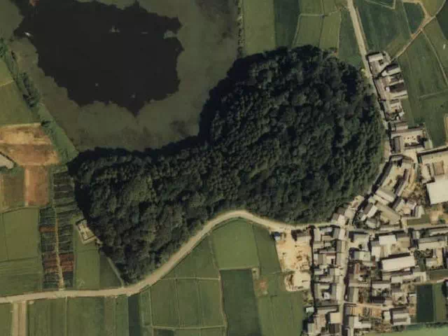 箸墓古墳（国土地理院：地図・空中写真閲覧サービスより）